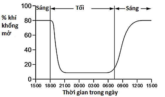 Biểu đồ bên dưới thể hiện lượng khí khổng đóng và mở của 1 loài thực vật trong 24 giờ. Có thể kết luận gì qua biểu đồ này ? (ảnh 1)