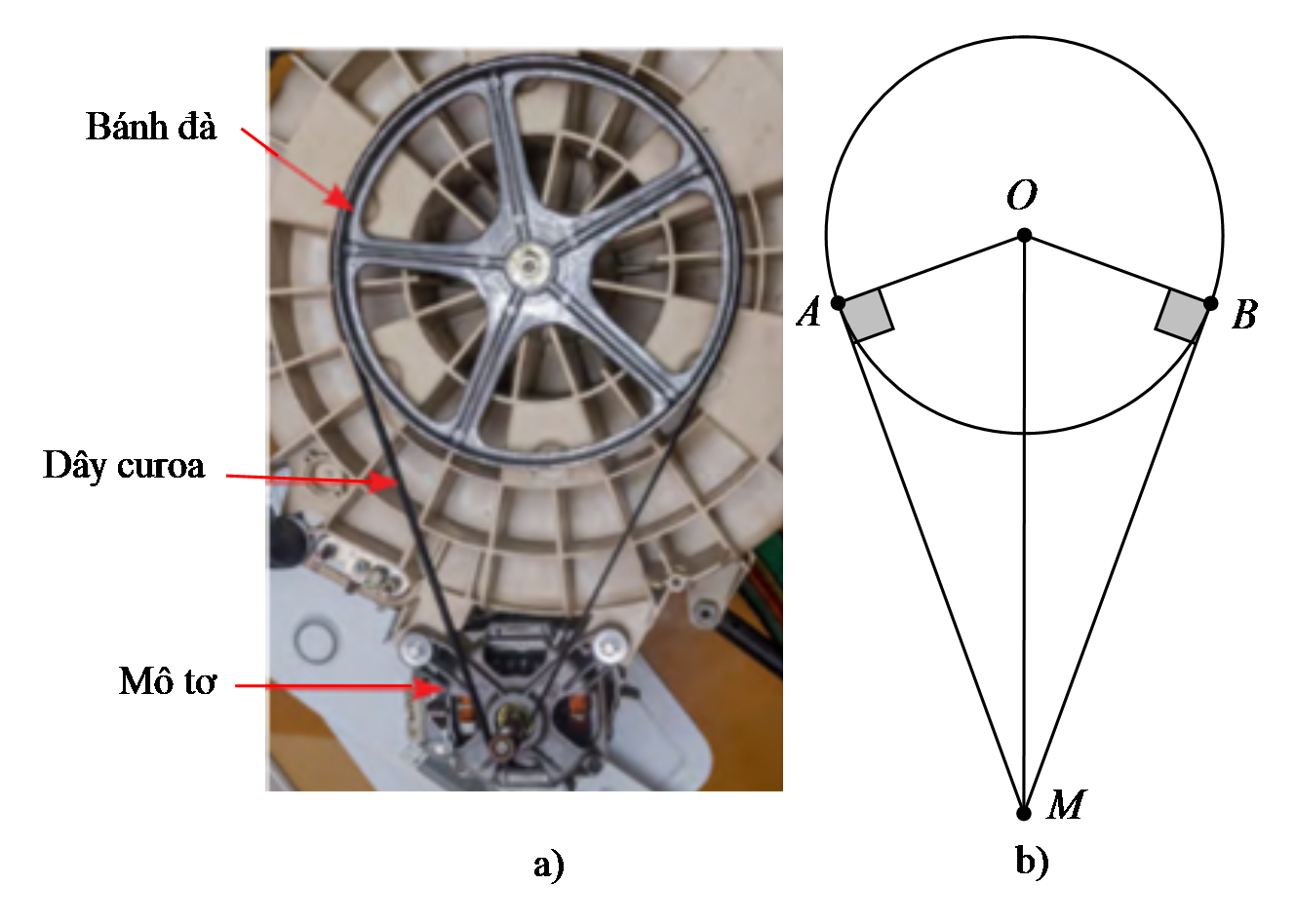 Xem h&igrave;nh vẽ. (ảnh 1)