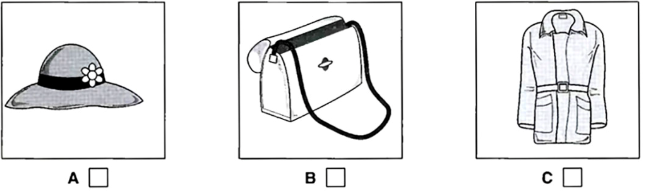 What has the woman just bought? (ảnh 1)