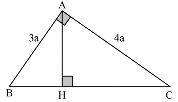 Đ&aacute;p &aacute;n: 0,75  &Aacute;p dụng định l&iacute; Pythagore trong tam gi&aacute;c \[ABC\], c&oacute;: (ảnh 1)