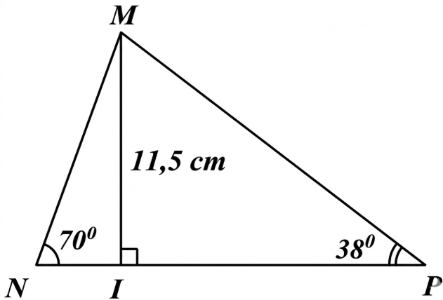 X&eacute;t tam gi&aacute;c \[MIP\] vu&ocirc;ng tạ (ảnh 1)