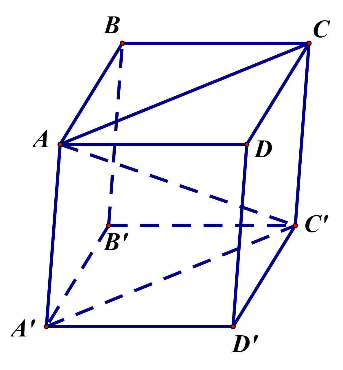 Do đ&oacute; \(\overrightarrow {AC'}&nbsp; \cdot \overrightarro (ảnh 1)