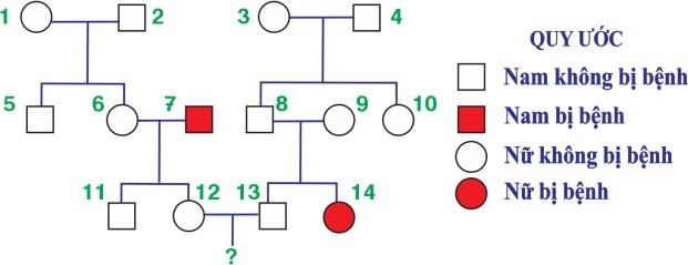 Phân tích về một bệnh di truyền của 1 gia đình vẽ được phả hệ sau. Biết rằng không có các đột biến mới phát sinh ở tất cả các cá thể trong phả hệ. Trong các nhận định sau, có bao nhiêu nhận định đúng?  (ảnh 1)