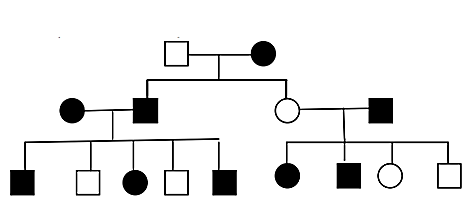 Phả hệ bên mô tả sự di truyền của một tính trạng ở một gia đình, trong đó các ô màu đen là những người mà tính trạng được biểu hiện. Allele quy định tính trạng này là (ảnh 1)
