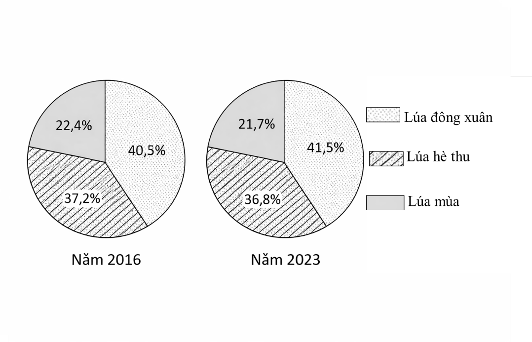Cho biểu đồ sau:   CƠ CẤU DIỆN TÍCH LÚA PHÂN THEO MÙA VỤ CỦA NƯỚC TA, NĂM 2016 VÀ NĂM 2023  (ảnh 1)