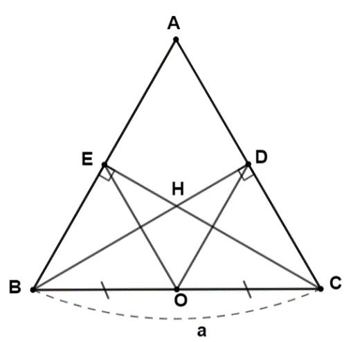 Xét tam giác \({\rm{ABC}}\) vuông tại \({\rm{A}}\). (ảnh 1)