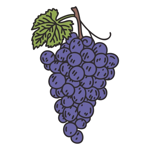 Đáp án đúng: grapes g _ _ _ _ _ (ảnh 1)