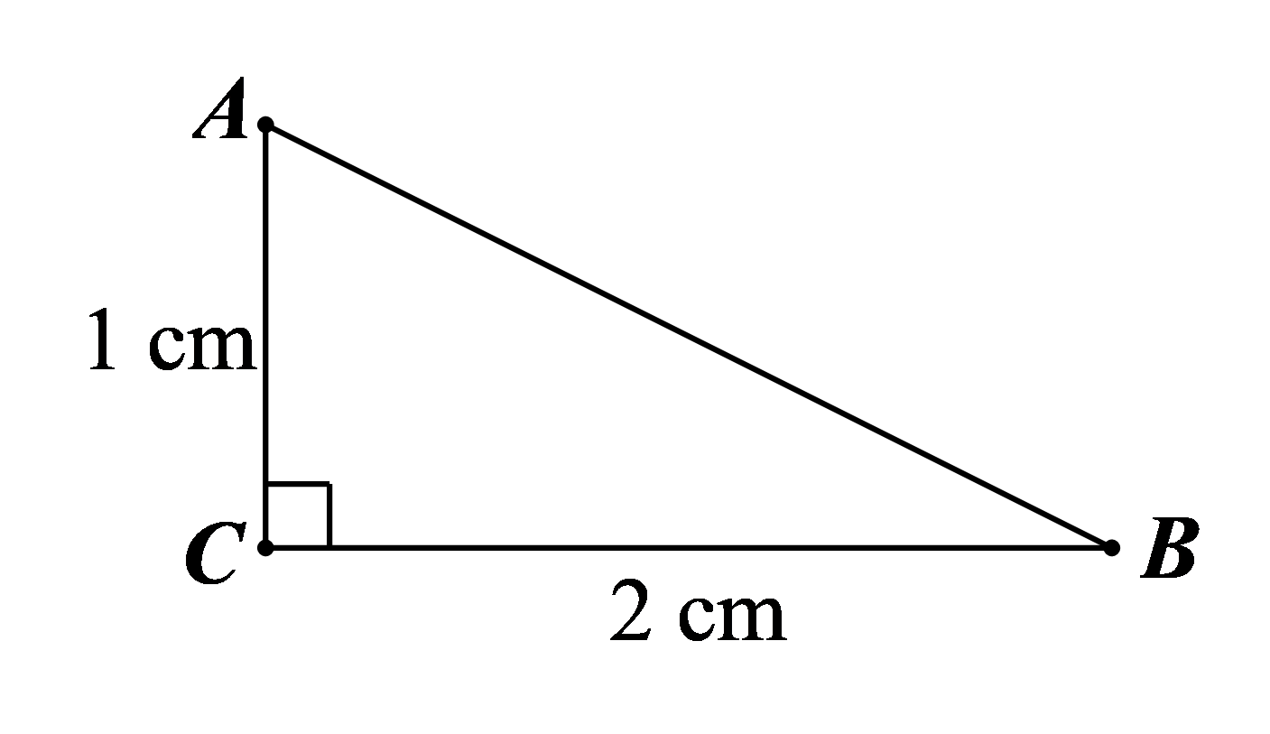 Đ&aacute;p &aacute;n đ&uacute;ng l&agrave;: A (ảnh 1)