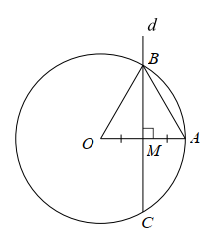 Phần II. Trắc nghiệm đ&uacute;ng, sai (ảnh 1)