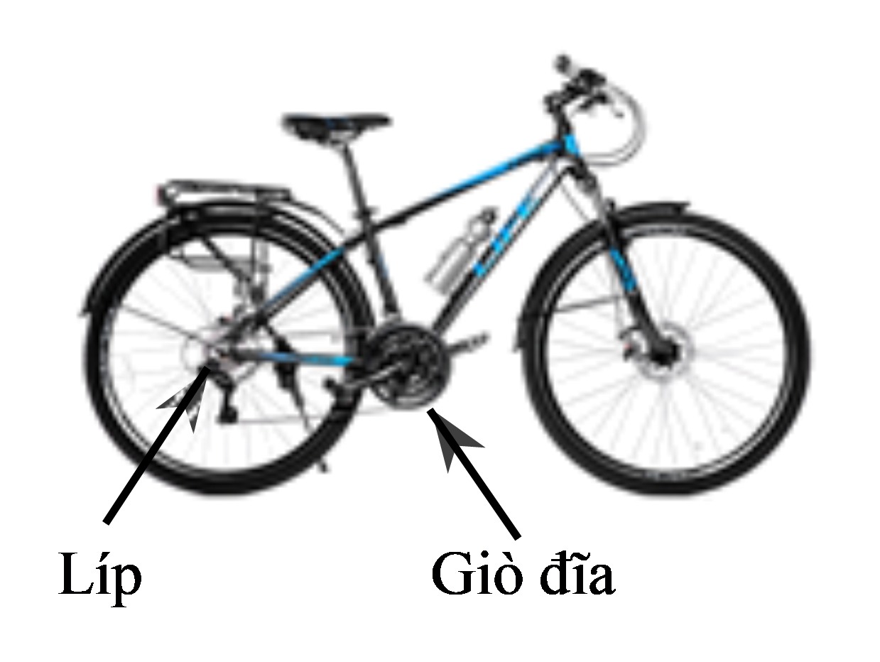 Ba bộ phận truyền chuyển động của một (ảnh 1)