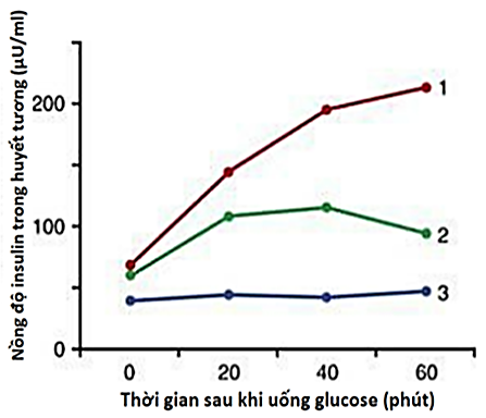 Tiểu đường là bệnh rối loạn chuyển hóa, liên quan đến khả năng sản xuất hoặc sử dụng hoocmon insulin của cơ thể. Có hai loại tiểu đường chính là tiểu đường type 1 và tiểu đường type 2. (ảnh 1)