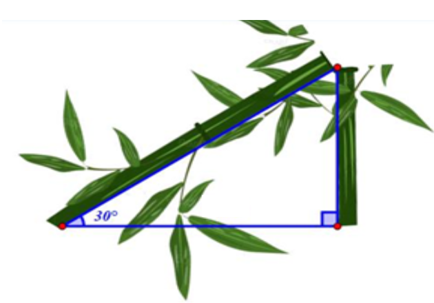 Diện tích tôn ít nhất cần dùng để lợp mái nhà là: O10-2024-GV154 (ảnh 1)