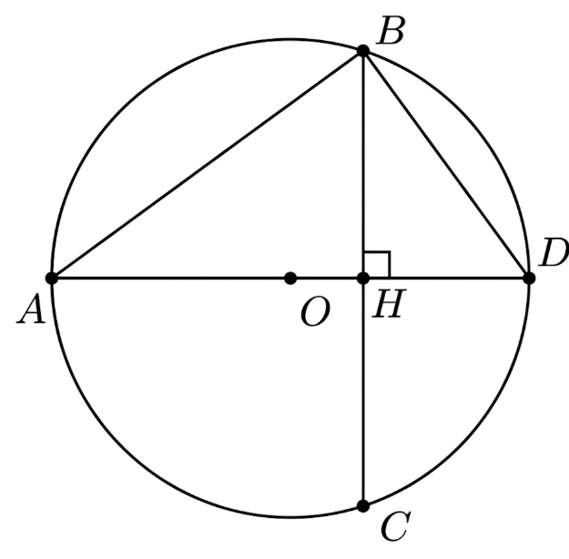 Phần II. Trắc nghiệm đ&uacute;ng, sai (ảnh 1)