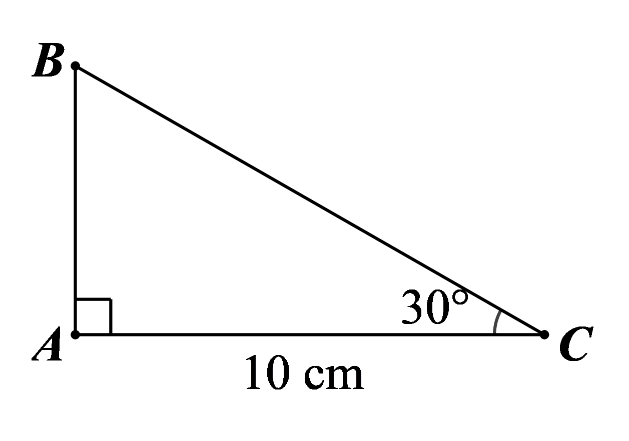 Đ&aacute;p &aacute;n đ&uacute;ng l&agrave;: B (ảnh 1)