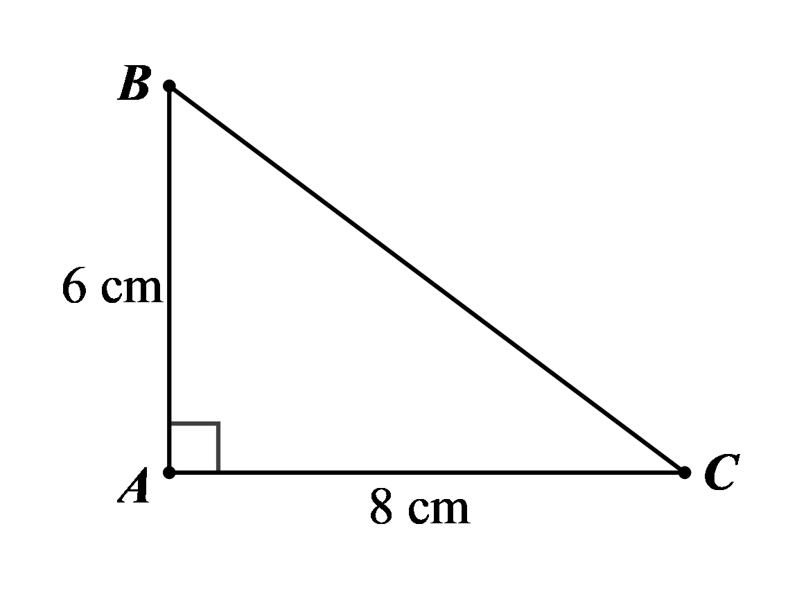 Đáp án đúng là: C (ảnh 1)