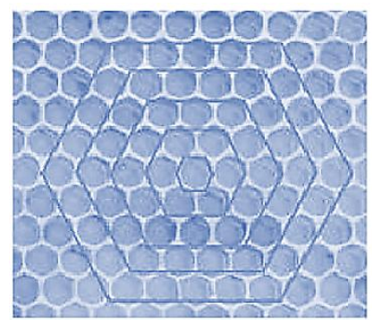 Mặt cắt của một tổ ong có hình lưới được tạo bởi các ô hình lục giác đều. Từ một ô lục giác đầu tiên, các ong thợ tạo ra vòng 1 gồm 6 ô lục giác bao quanh; tiếp theo các ong thợ sẽ tạo ra vòng 2  (ảnh 1)