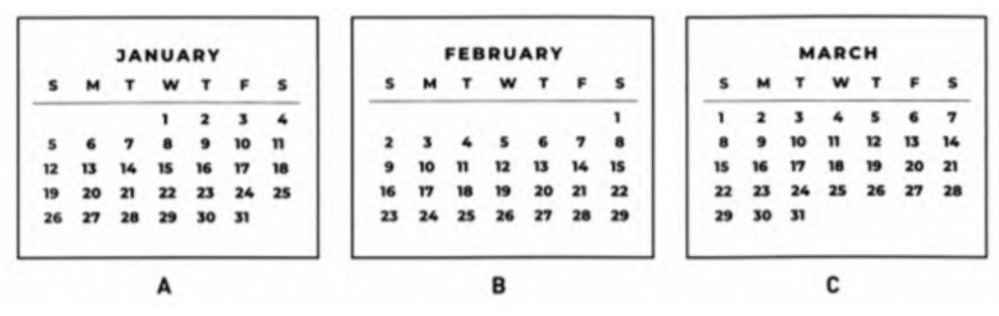 When is the best month to plant the seeds? (ảnh 1)