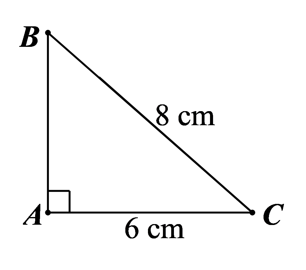 Đáp án đúng là: D (ảnh 1)