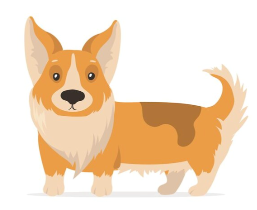 d_ _ dog: con chó (ảnh 1)