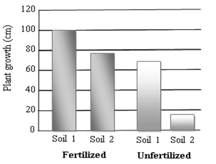 A scientist wants to know how a certain fertilizer affects the growth of tomato plants growing in two different soils. What conclusion can be drawn from the graph shown on the right? (ảnh 1)