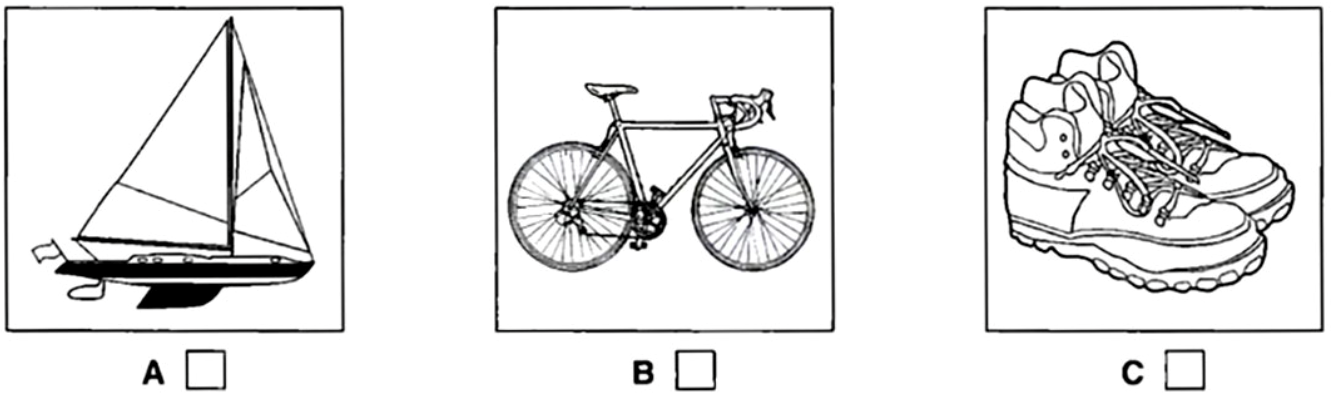 Which activity will the family do this year? (ảnh 1)