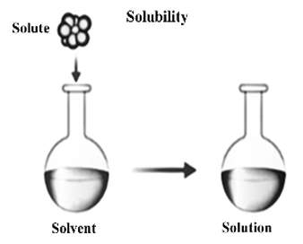 A solution is a _______ mixture that combines a solute and a solvent.   A. separate (not joined, not related) B. heterogenous (consisting of many different things) C. solid (firm and hard) D. homogenous (consisting of things of the same type) (ảnh 1)