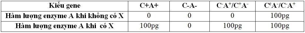Có 4 gene (A, B, D ) tham gia vào sự chuyển hóa một chất X và một đoạn DNA (là một gene, kí hiệu là C) liên kết với các trình tự A, B và D. Người ta phân lập được các đột biến khác nhau ở trình tự C  (ảnh 1)