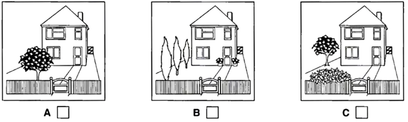 Which is the woman’s house? (ảnh 1)