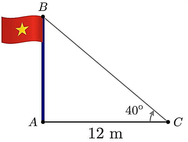 Đáp án đúng là: B (ảnh 1)