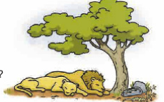 h. ______________ sleeping đang ngủ (ảnh 1)