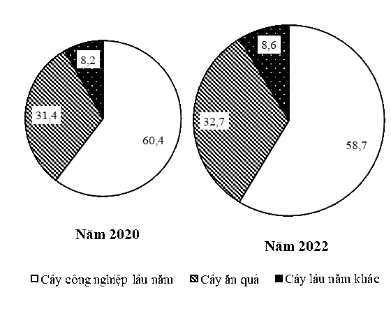 Cho biểu đồ sau:   BIỂU ĐỒ CƠ CẤU DIỆN TÍCH MỘT SỐ CÂY LÂU NĂM CỦA NƯỚC TA NĂM 2020 VÀ 2022 (%) (ảnh 1)