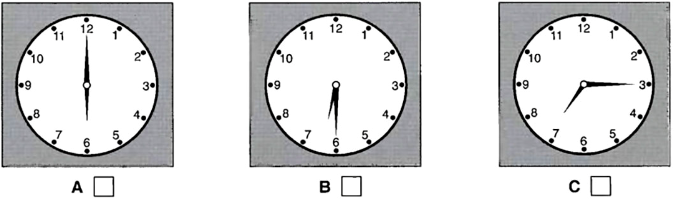 What time will Robin leave the house? (ảnh 1)