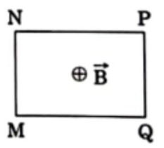 Một khung dây dẫn kín MNPQ đặt cố định trong từ trường đều (ảnh 1)