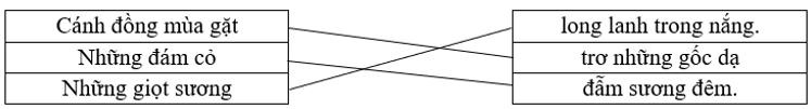 Nối ô chữ cho phù hợp:  Cánh đồng mùa gặt		long lanh trong nắng.  Những đám cỏ 		trơ những gốc dạ Những giọt sương 		đẫm sương đêm. (ảnh 1)