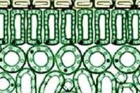 Tr&igrave;nh b&agrave;y cơ chế đ&oacute;ng mở kh&iacute; khổng ch&iacute;nh x&aacute;c nhất