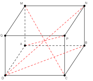 Cho h&igrave;nh hộp chữ nhật ABCD.MNPQ, đường n&agrave;o sau đ&acirc;y kh&ocirc;ng l&agrave; đường ch&eacute;o của h&igrave;nh hộp chữ nhật ABCD.MNPQ (ảnh 1)