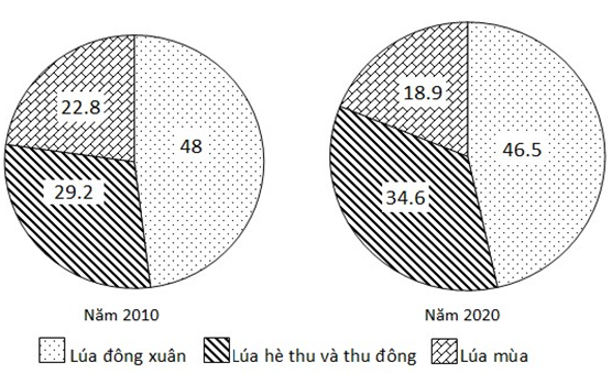 Cho biểu đồ về sản lượng lúa phân theo mùa vụ ở nước ta năm 2010 và 2020 (Đơn vị: %)  (ảnh 1)