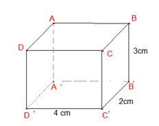 Thể tích của hình hộp chữ nhật bên là: (ảnh 1)