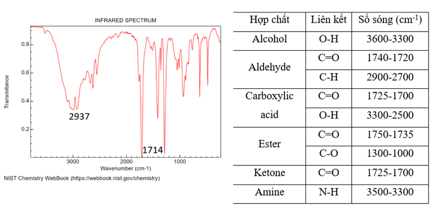 Để xác định được chất X, người ta thực hiện như sau: Bằng phương pháp phân tích nguyên tố, người ta xác định được X chứa % C = 40 %; % H = 6,67 %, còn lại là O (ảnh 1)