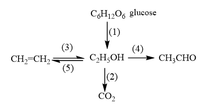 Cho sơ đồ chuyển hóa sau:
 (ảnh 1)