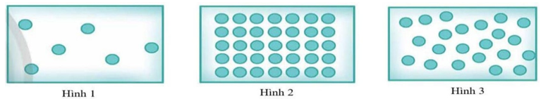 Các hình dưới đây là sự sắp xếp của các phân tử ở các thể rắn, lỏng, khí. Chọn phát biểu đúng. (ảnh 1)