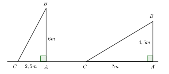 Một chiếc thang đặt dựa vào một bức tường cao 6m như hình vẽ, biết chân thang cách tường (ảnh 1)