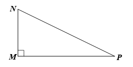 Cho tam giác MNP vuông tại M. Khi đó cos góc MNP bằng (ảnh 1)