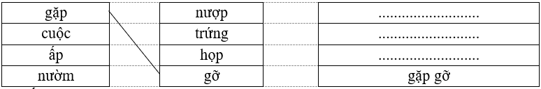 Nối và viết theo mẫu: gặp nượp .......................... cuộc trứng .......................... ấp họp .......................... nườm gỡ gặp gỡ (ảnh 1)