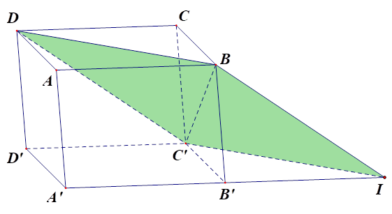 H&igrave;nh chiếu của h&igrave;nh hộp ABCD.A'B'C'D' l&ecirc;n mp (BC'D) theo phương AB l&agrave;: (ảnh 1)