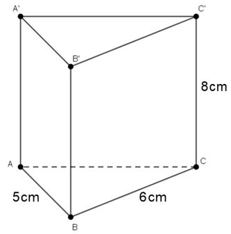 Cho h&igrave;nh lăng trụ đứng như h&igrave;nh dưới. Độ d&agrave;i cạnh BB' l&agrave;: (ảnh 1)