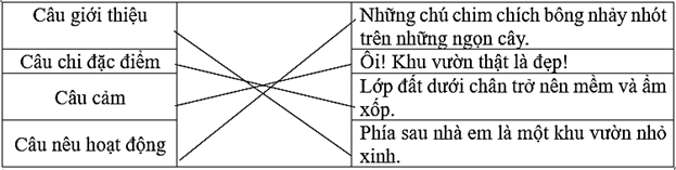 Đề cương ôn tập cuối kì 1 Tiếng Việt lớp 3 Chân trời sáng tạo (có đáp án) (ảnh 1)