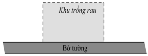 Bác nông dân làm một hàng rào trồng rau hình chữ nhật có chiều dài song song với bờ tường. Bác chỉ làm ba mặt vì mặt thứ tư bác tận dụng luôn bờ tường. Bác dự tính sẽ dùng 180 m lưới sắt để l (ảnh 1)