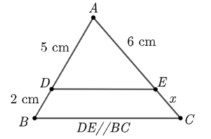 Giá trị của x trong hình vẽ sau là (ảnh 1)