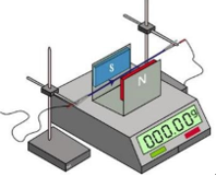 Để đo cảm ứng từ của một nam châm, một học sinh bố trí thí nghiệm như hình bên (ảnh 1)